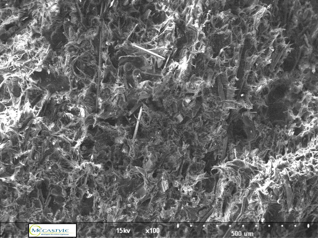 Fabrication additive - Microscope à balayage électronique