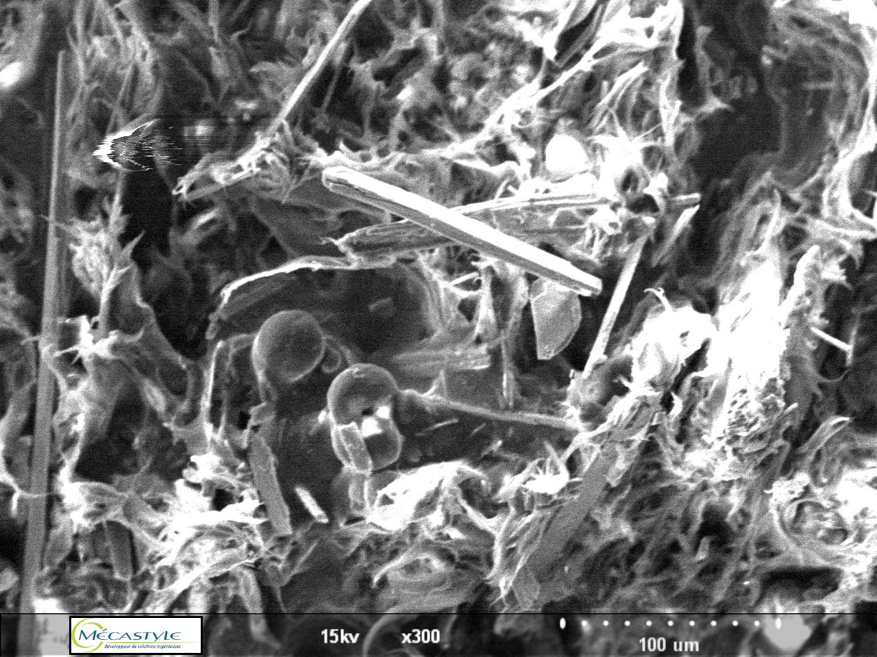 Fabrication Additive - Microscope à balayage électronique